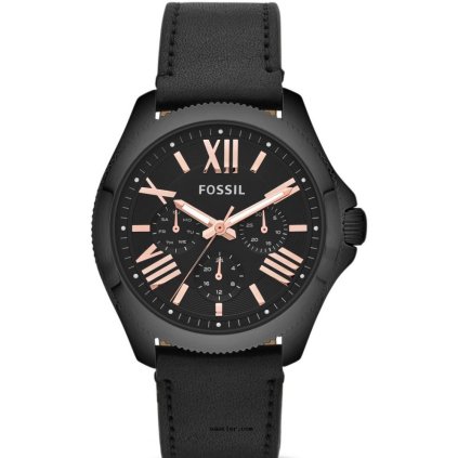 Hodinky FOSSIL model AM4523