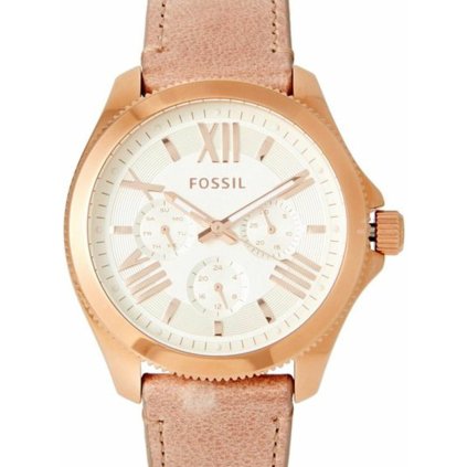 Hodinky FOSSIL model AM4532