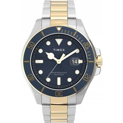 Hodinky TIMEX TW2V42000