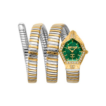 Hodinky Just Cavalli JC1L304M0065