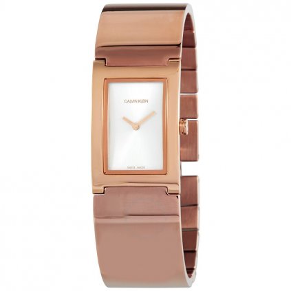 Hodinky CALVIN KLEIN model POLISHED K9C2N616