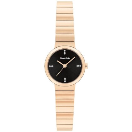 Hodinky CALVIN KLEIN model PRECISE 25200417