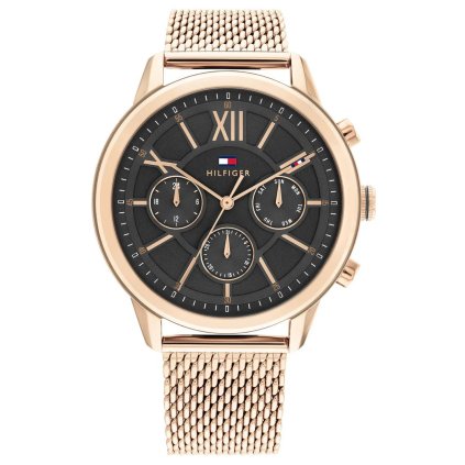 Hodinky TOMMY HILFIGER model 1710525