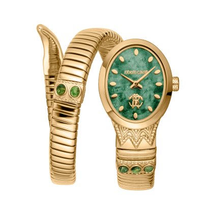 hodinky roberto cavalli model lady rc5l104m0025
