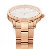 Hodinky DANIEL WELLINGTON model ICONIC LINK DW00100209