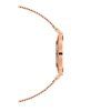 Hodinky DANIEL WELLINGTON model PETITE MELROSE DW00100303