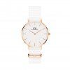 Hodinky DANIEL WELLINGTON model PETITE DOVER DW00100311
