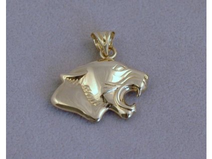 4255 1 zlaty privesek daniel