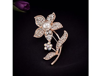 WhatsApp Image 2026 01 03 at 23.59.04