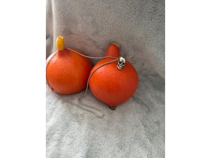 WhatsApp Image 2025 08 23 at 12.14.32