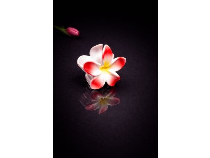 WhatsApp Image 2026 01 04 at 00.18.33