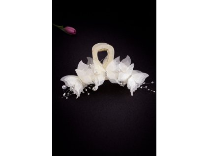 WhatsApp Image 2026 01 04 at 00.23.37