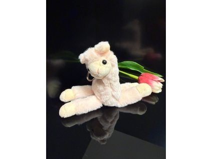 WhatsApp Image 2025 10 04 at 21.17.38