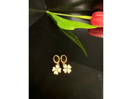 WhatsApp Image 2025 10 05 at 12.50.00