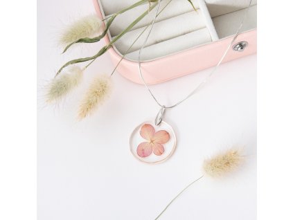 5ed1cffc 354c 4e5a 9e00 10d75b18af1a