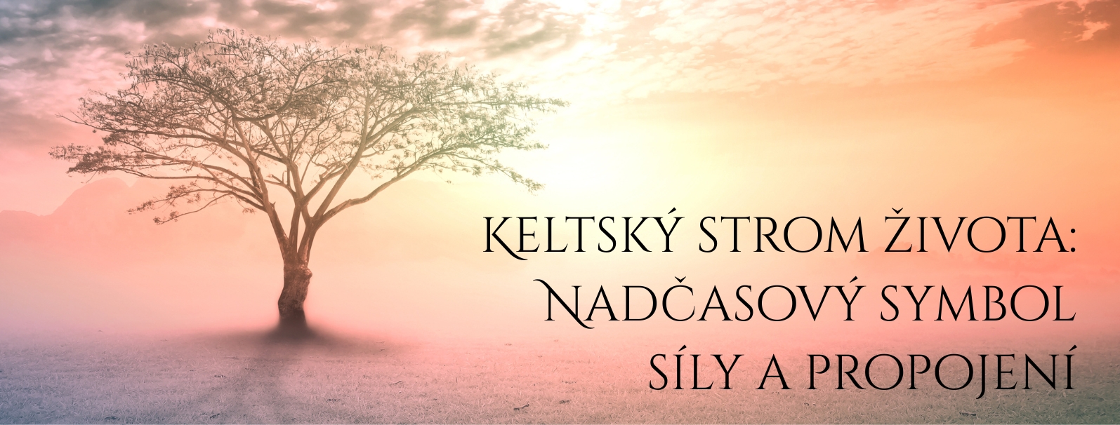 Keltský strom života: Nadčasový symbol síly a propojení