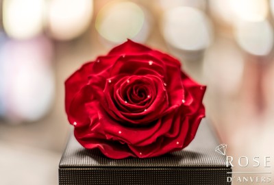 Ocean_Story1-400x270