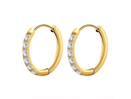 Náušnice chirurgická ocel G-89957-0