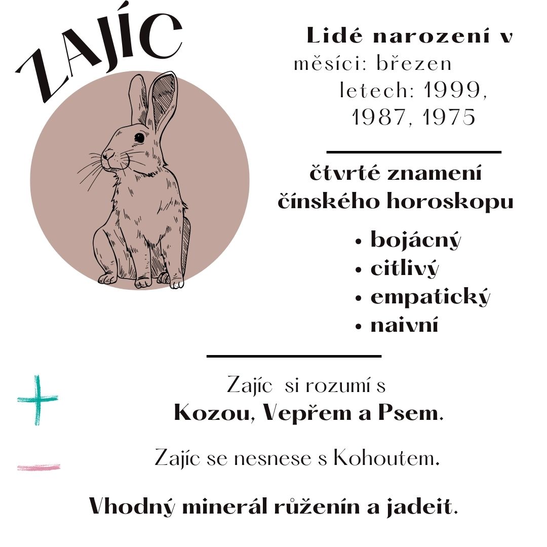 Zajíc (Králík, Kočka)