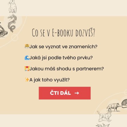 Kampaň(13)