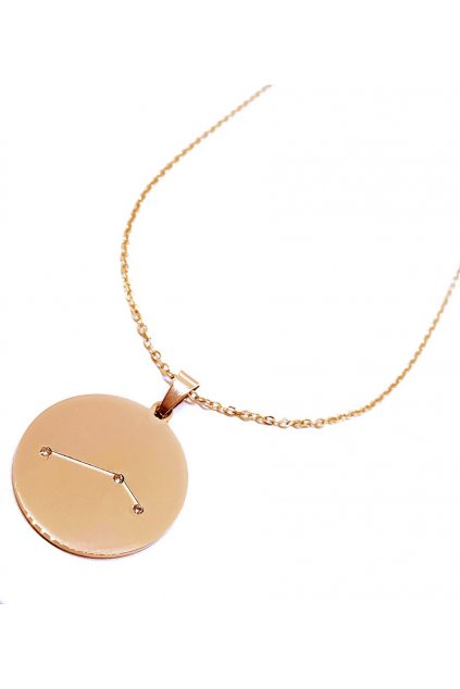 Skalimar náhrdelník z chirurgické oceli ZNAMENÍ ROSE GOLD–BLÍŽENCI 37004605.6