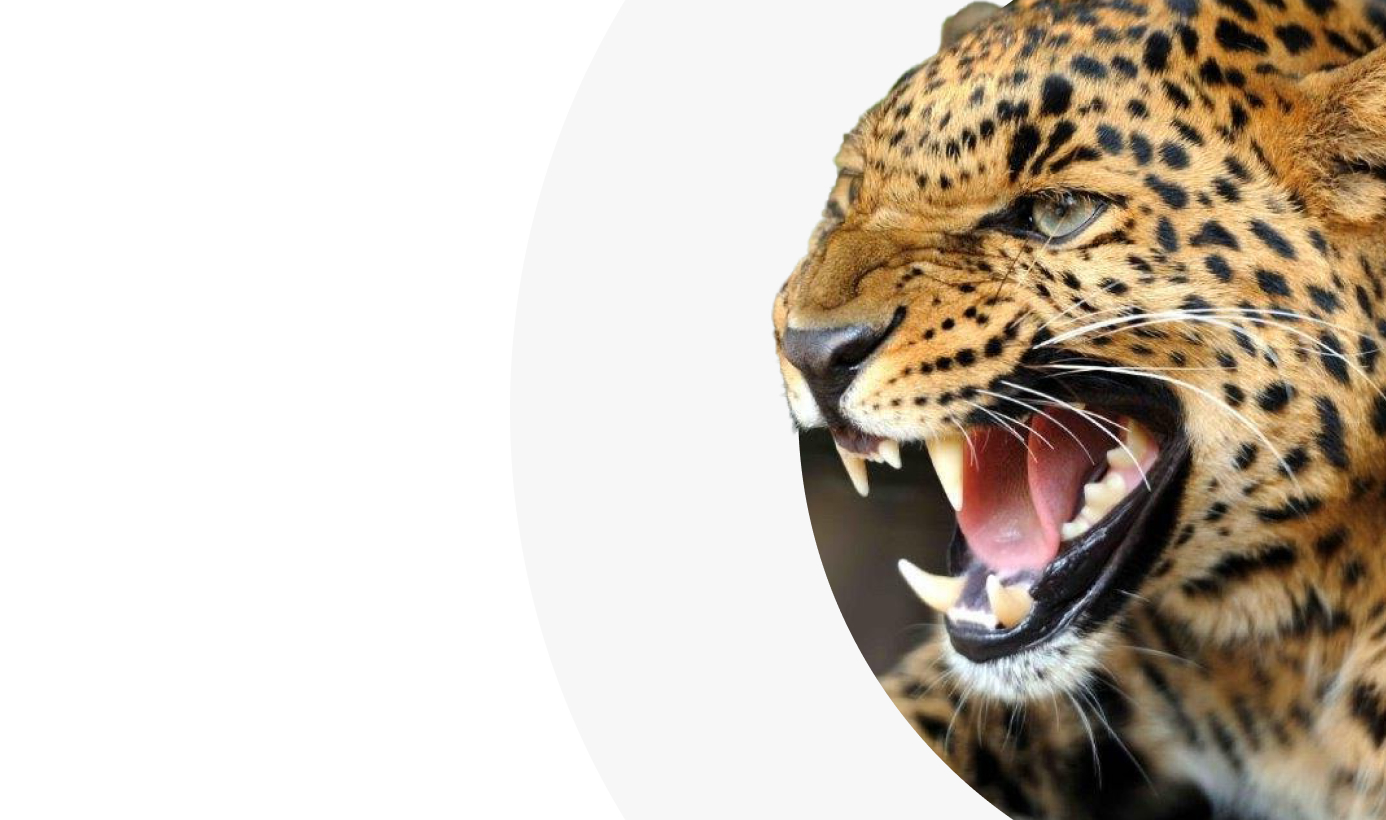 Produkty, které vytváří působivý 3D efekt