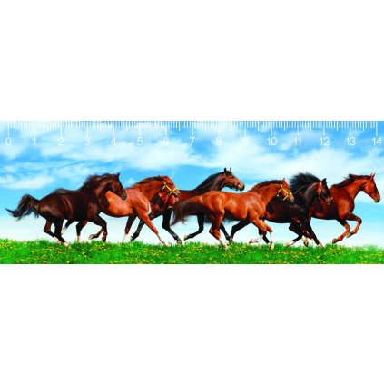 MC906 HORSES IN GREEN FIELD