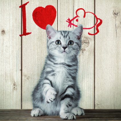 MCG63 MAGNETIC I LOVE MICE