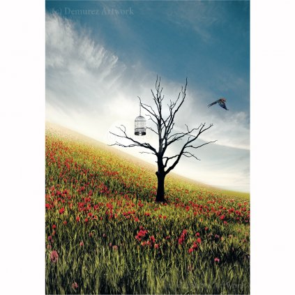 Z 1 0010 1200x1200 WZ