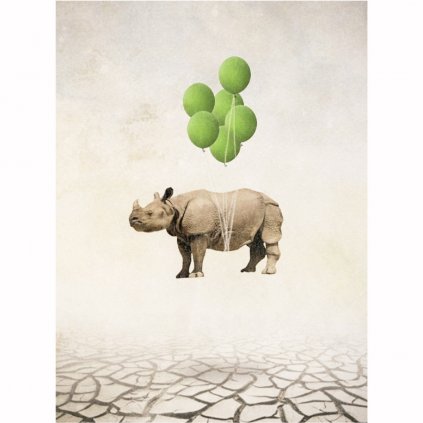 Z 3 0004 1200x1200 WZ