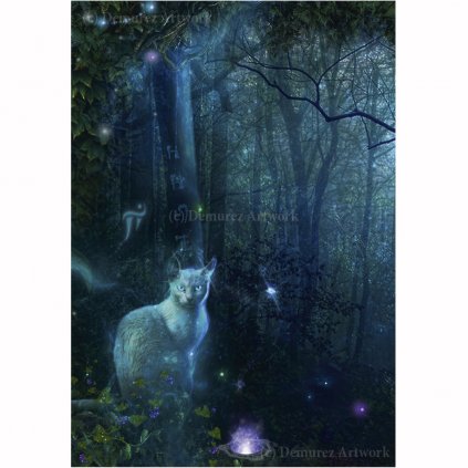 Z JA 0020 1200x1200 WZ