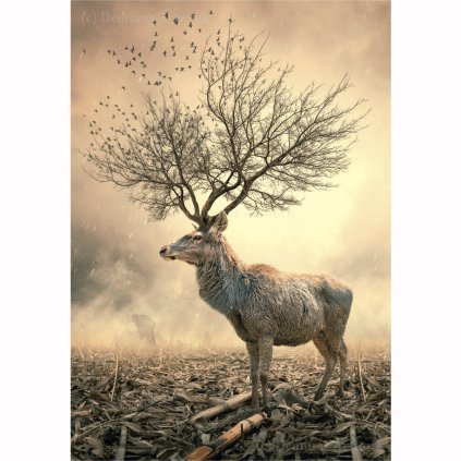 Z IC 0010 1200x1200 WZ