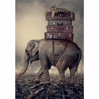 Z IC 0002 1200x1200 WZ