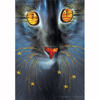 Z DS 0004 1200x1200 WZ