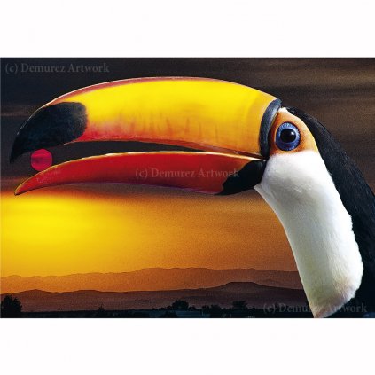 Z DS 0002 1200x1200 WZ