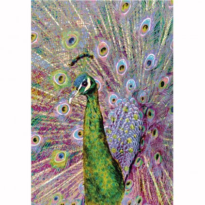 Z DS 0003 1200x1200 WZ