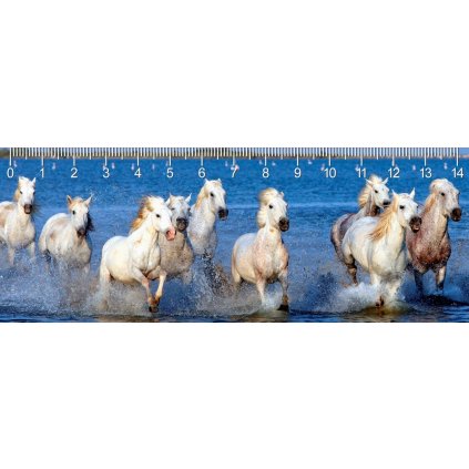 MC918 CAMARQUE HORSES