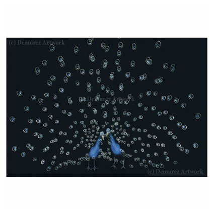 Z DS 0001 1200x1200 WZ