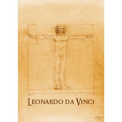 MCD16 DA VINCI MAN A