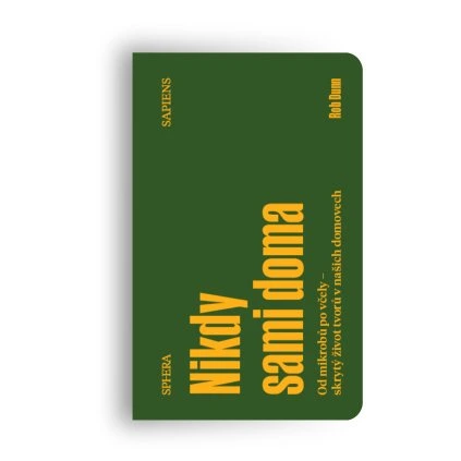 podklad stiny square (5)