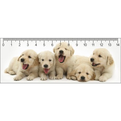 MC909 148x55 12 2016 web