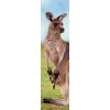 KANGAROO Bookmark