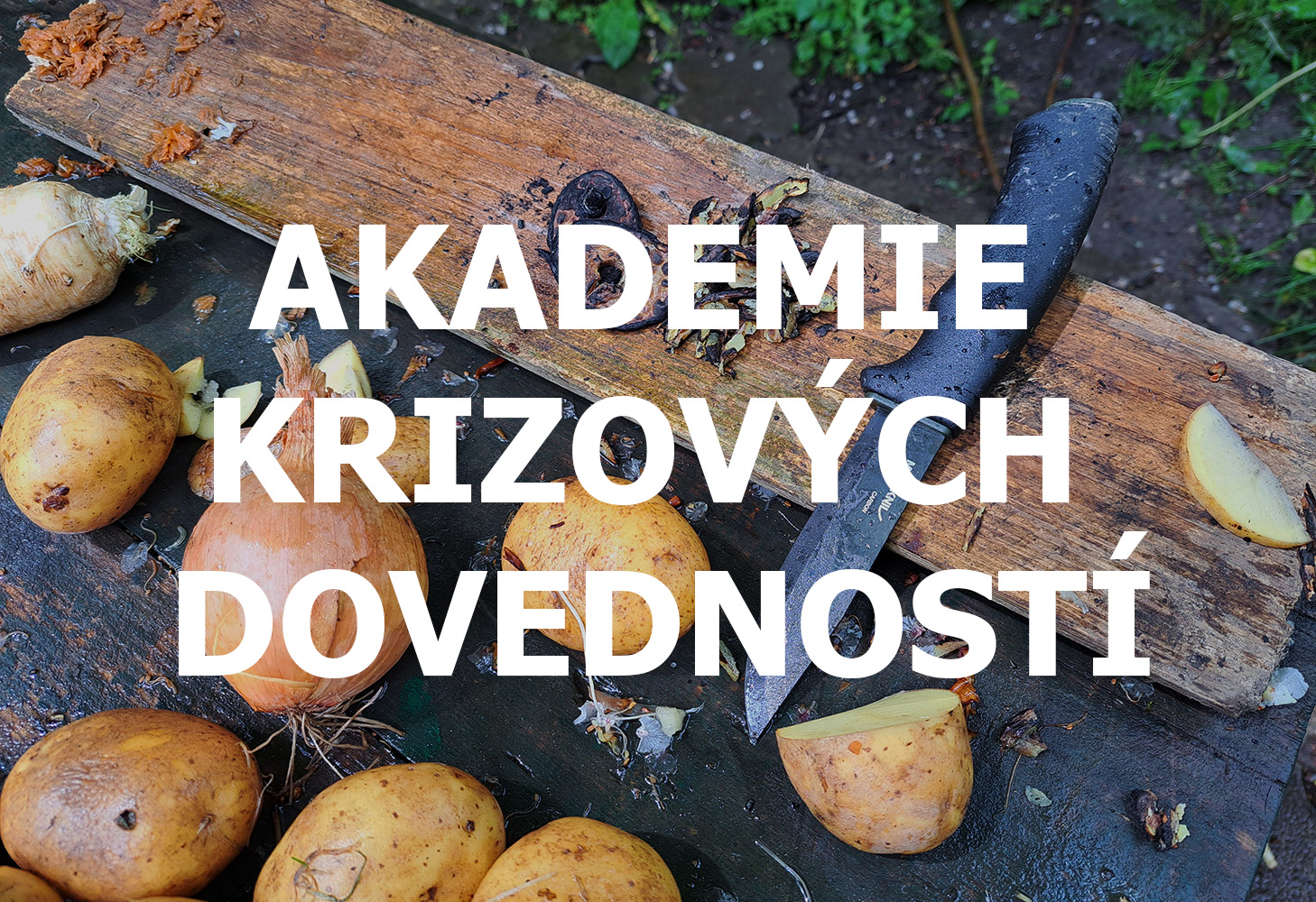 akademe_krizovych_dovednosti