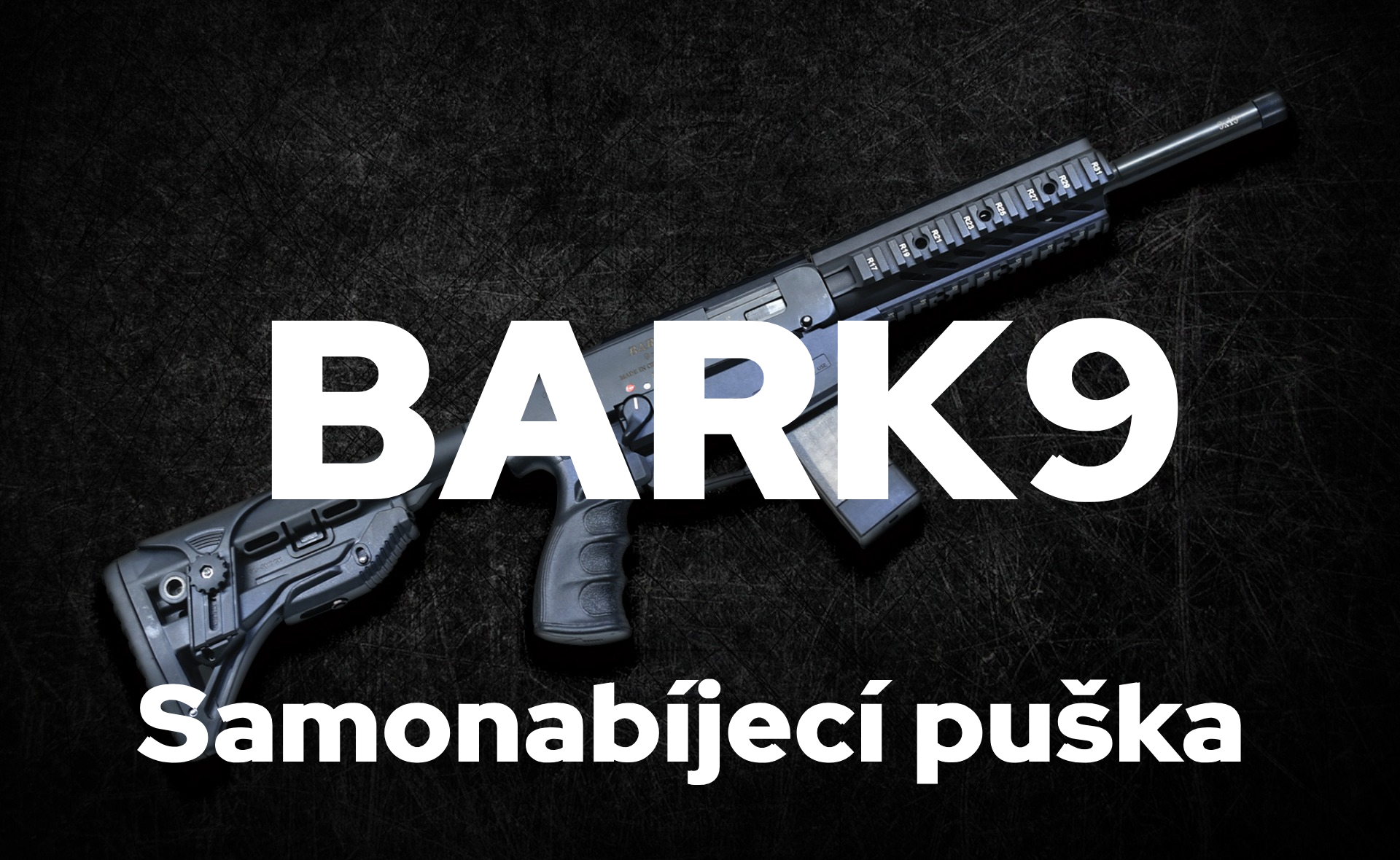 bark_9