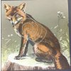 Terč vzduchovkový  Liška 14x14cm