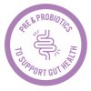 purple gut health icon