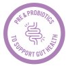 purple gut health icon