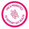 pink gut health icon