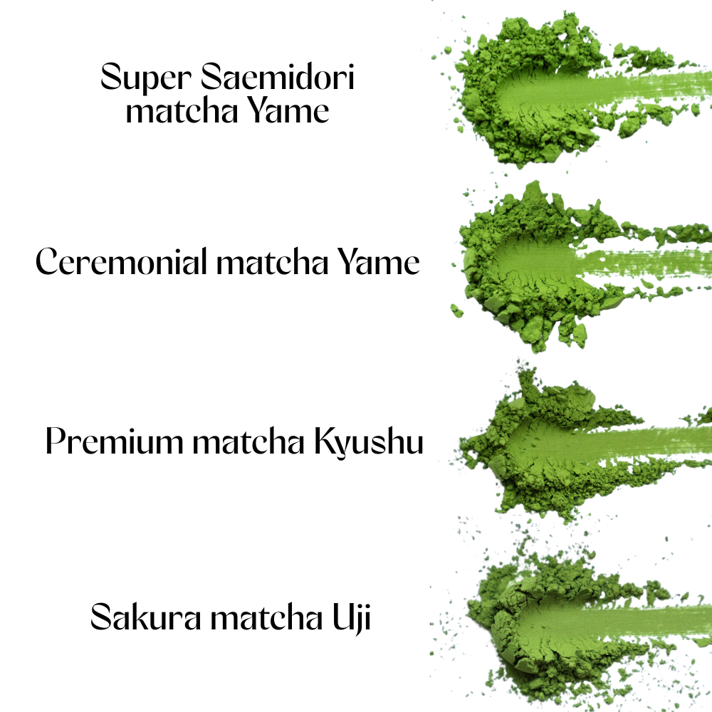 Nejlepší matcha pro VÁS! Jakou matchu vybrat?