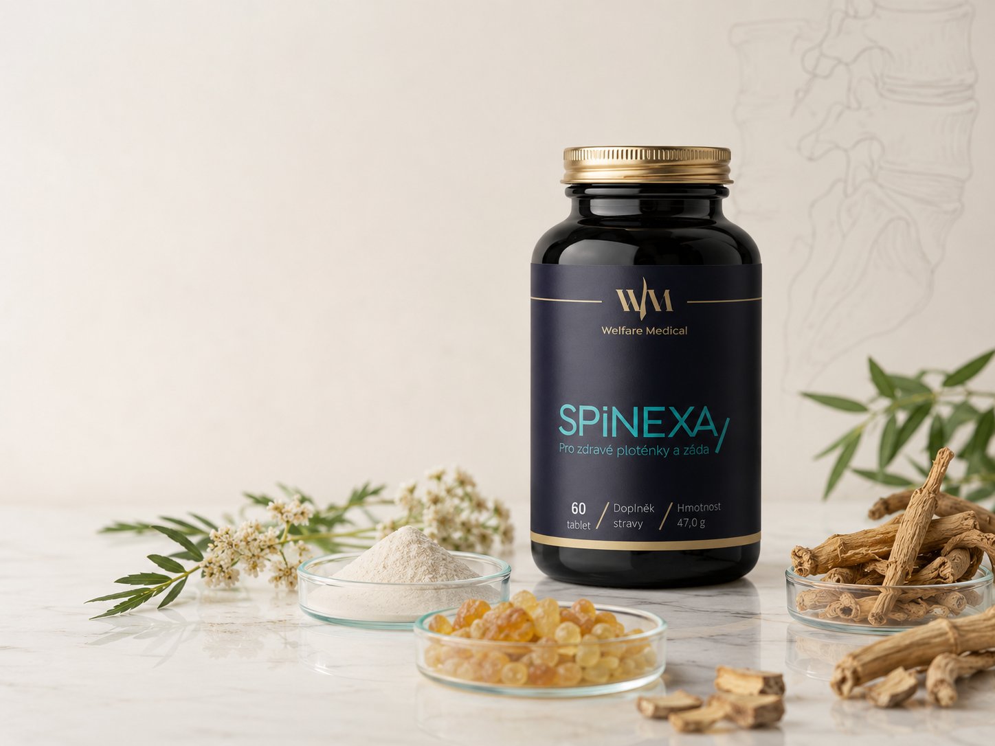 SPINEXA a složení doplňku stravy pro pohybový aparát